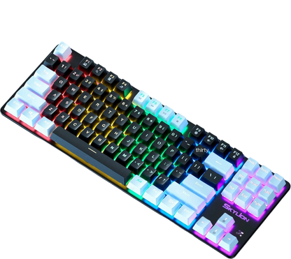 H87 Mechanical Wired Dual Color Keyboard for Gaming